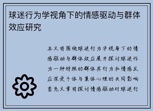 球迷行为学视角下的情感驱动与群体效应研究
