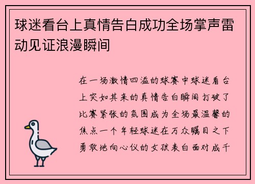 球迷看台上真情告白成功全场掌声雷动见证浪漫瞬间