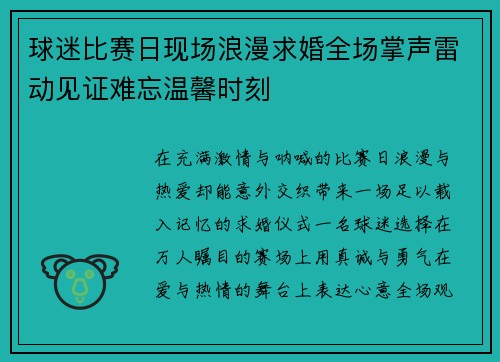 球迷比赛日现场浪漫求婚全场掌声雷动见证难忘温馨时刻
